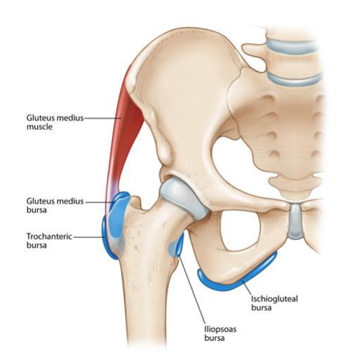 hip bursitis adelaide
