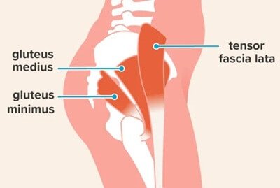 key hip abductor muscles