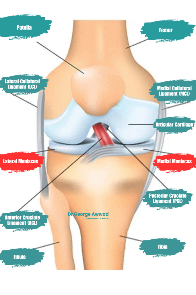 meniscus injuries adelaide