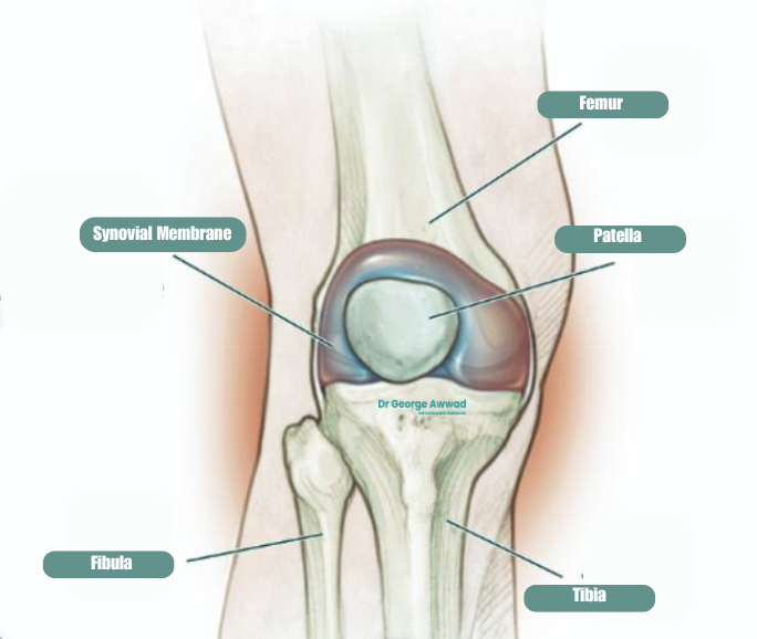 synovectomy and debridement adelaide